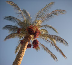 Mon prochain bureau ? Mon prochain bureau ?